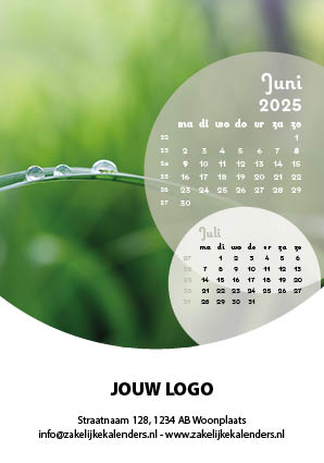 A6 Bureaukalender Pure 2025